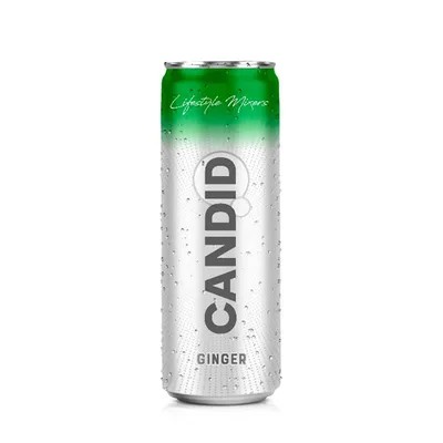 SODA WATER GINGER ALE 250 ML